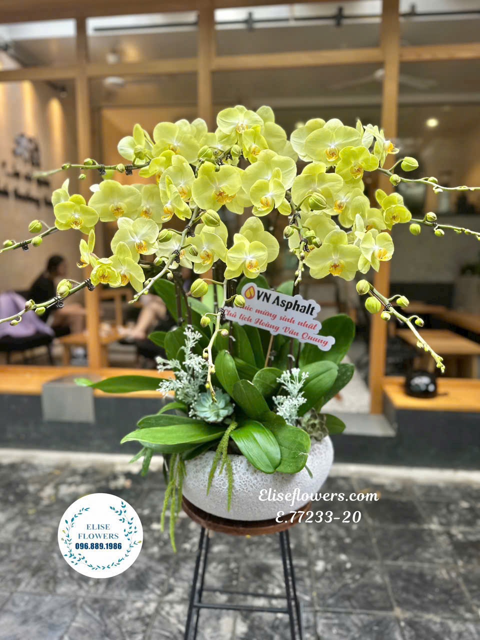 Mua chậu hoa lan hồ điệp tặng sếp. Dịch vụ đặt hoa lan hồ điệp tặng sếp ở Hà Nội