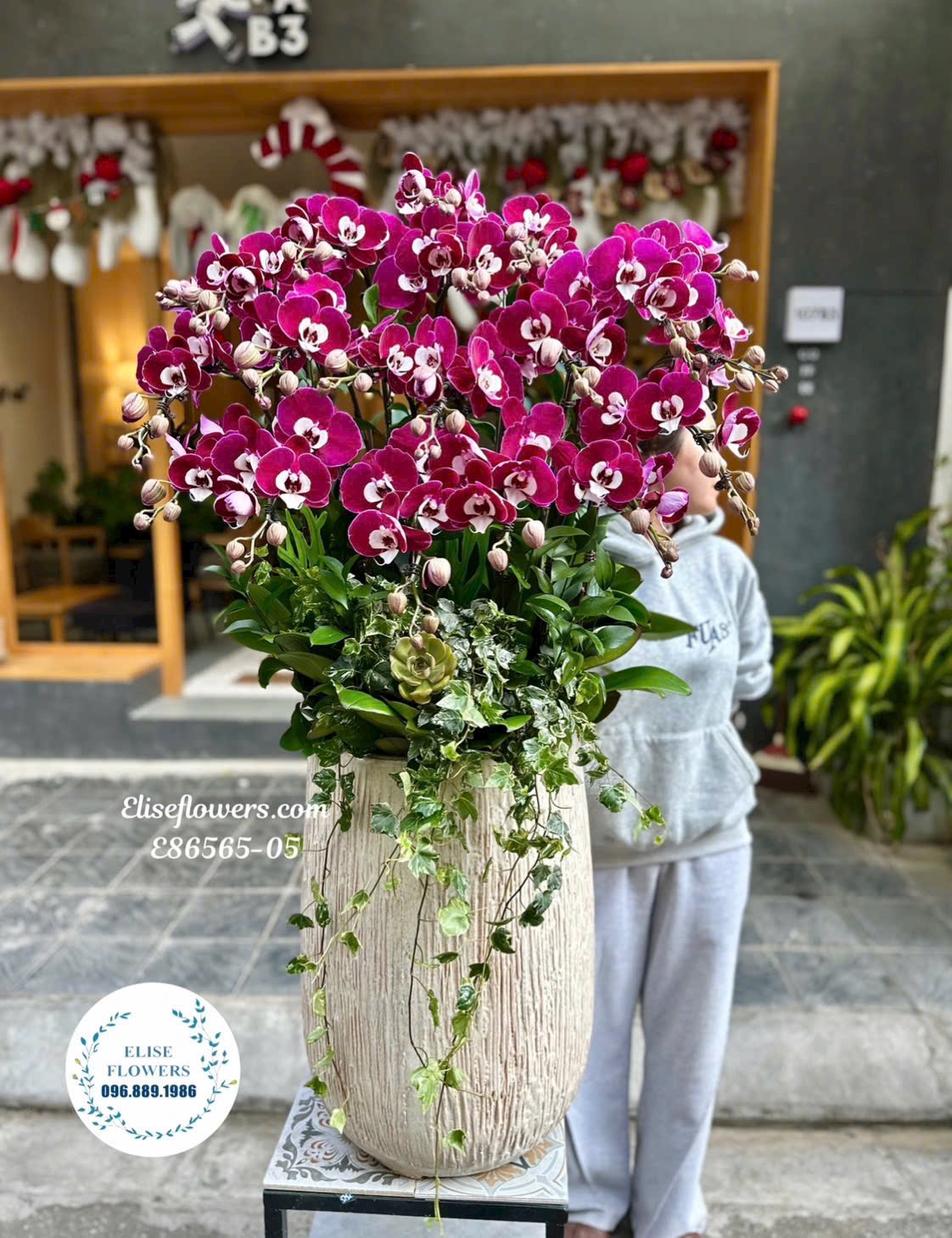 Chậu lan hồ điệp ngọc trai tặng sếp. Lan nhập khẩu VIP chúc mừng lãnh đạo. Giao chậu lan hồ điệp tận nơi, đảm bảo