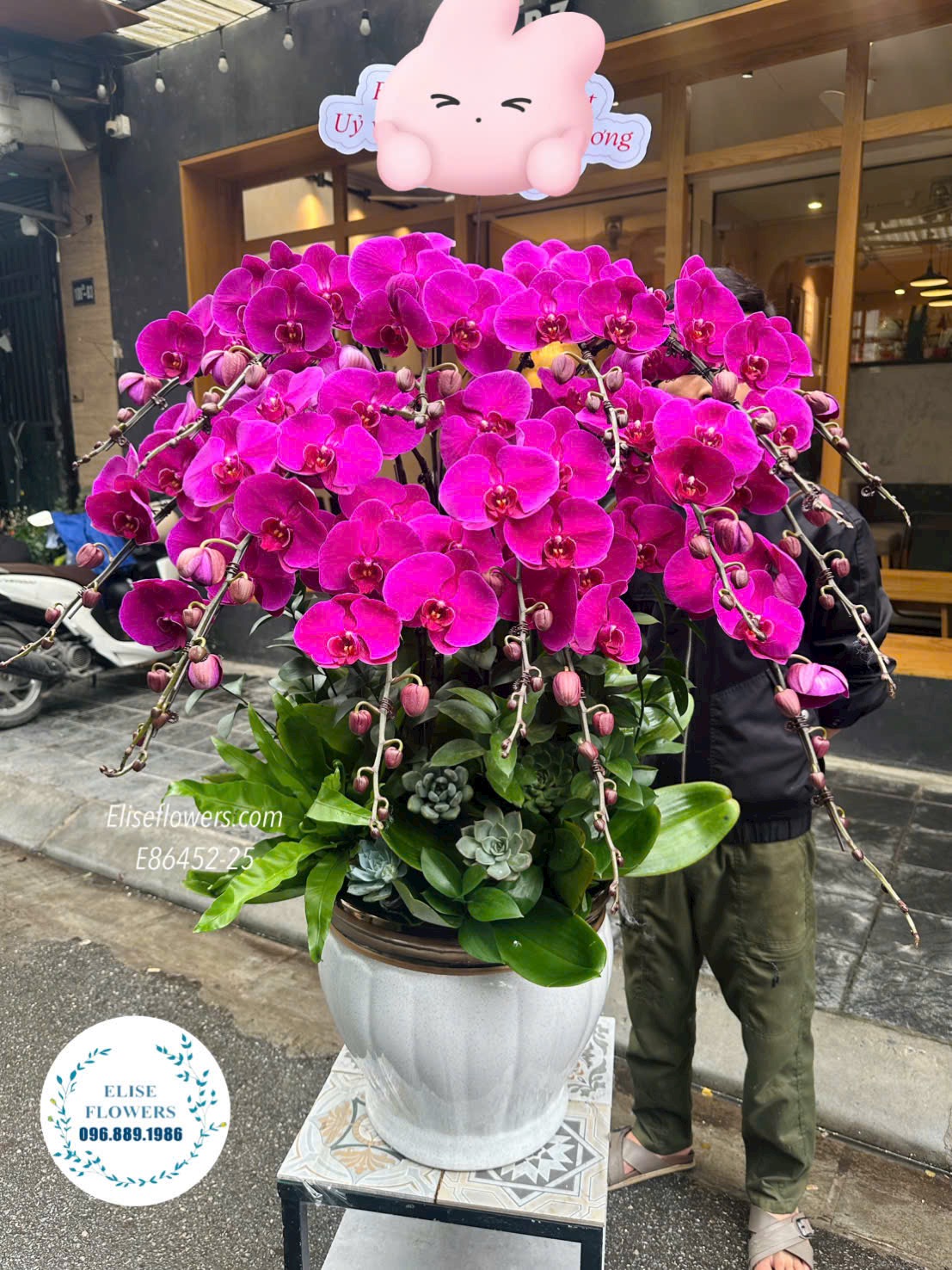 Chậu lan hồ điệp đỏ ớt cao cấp. Lan hồ điệp khai trương sang trọng tại quận Đống Đa. Dịch vụ giao hoa tận nơi, nhanh chóng