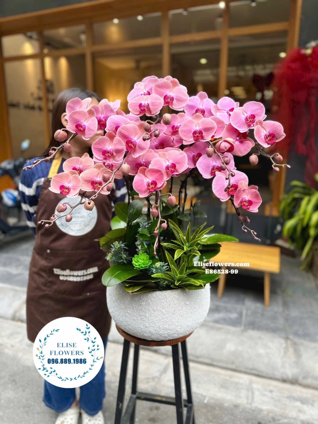 Đặt mua lan hồ điệp chơi tết. Chậu lan hồ điệp tài lộc, đại cát chưng nhà tại Eliseflowers