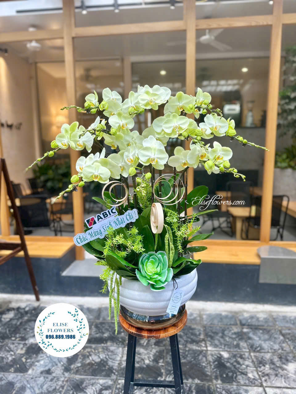 Chậu lan hồ điệp tri ân 20-11. Đặt mua chậu hoa lan hồ điệp tặng 20-11