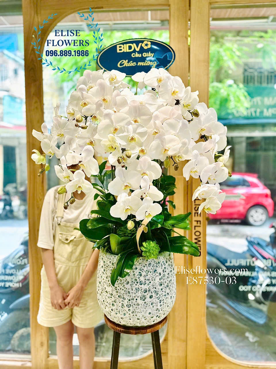 Đặt mua chậu hoa lan hồ điệp trắng sang trọng ở Hà Nội. Dịch vụ giao hoa tận nơi, nhanh chóng