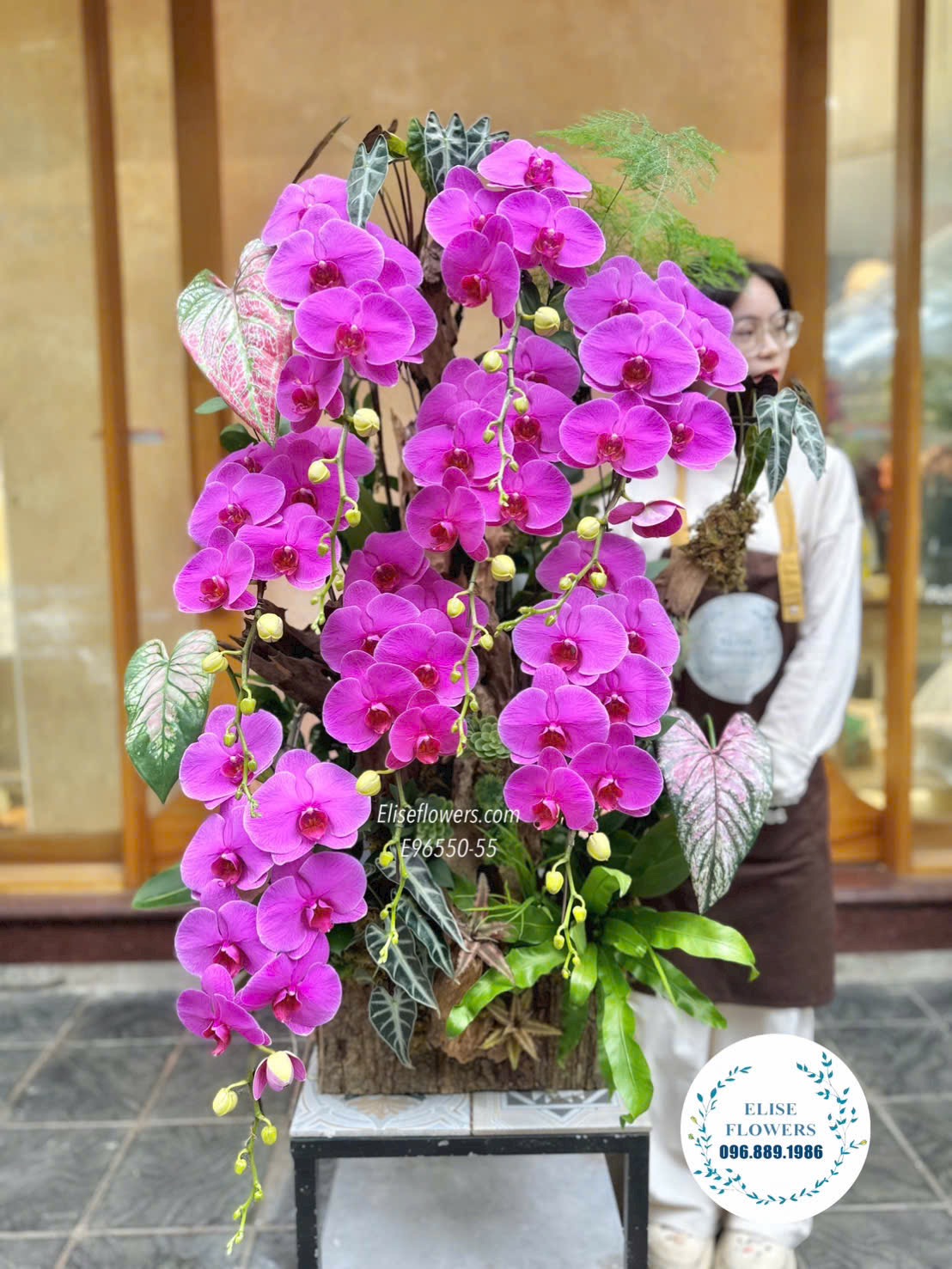 Chậu lan hồ điệp tím ghép lũa sang trọng biếu sếp ở Hà Nội. Lan hồ điệp Tết tại Hà Nội