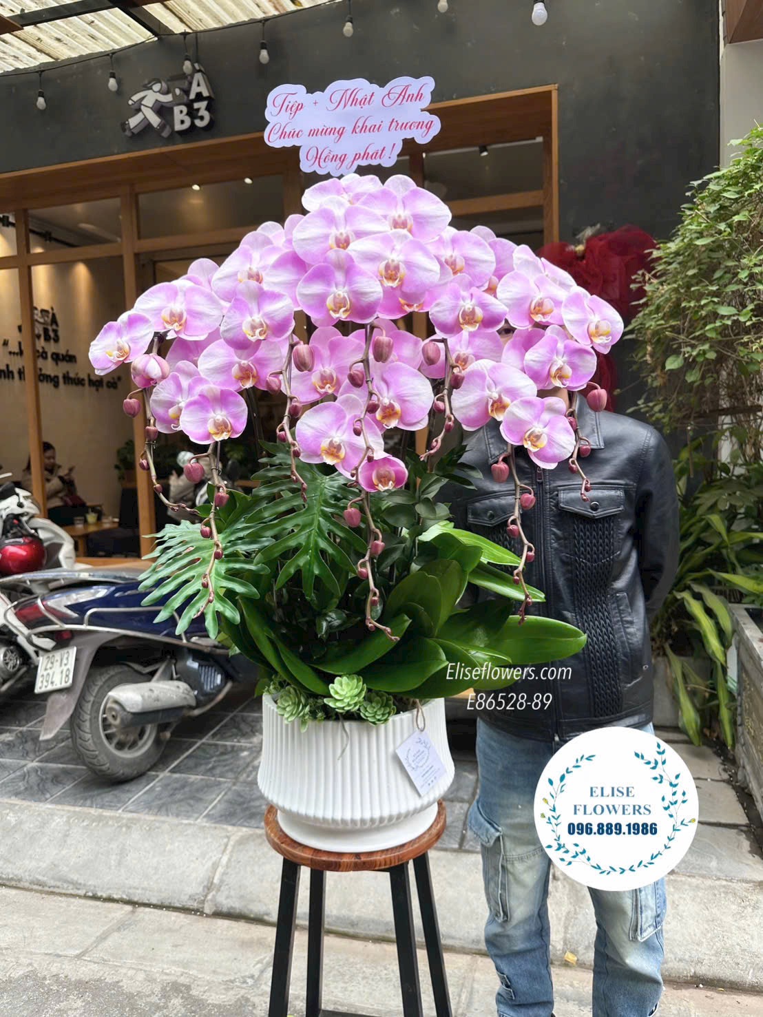 Đặt mua chậu lan tím tài lôc, phú quý tặng khai trương, sự kiện ở quận Ba Đình