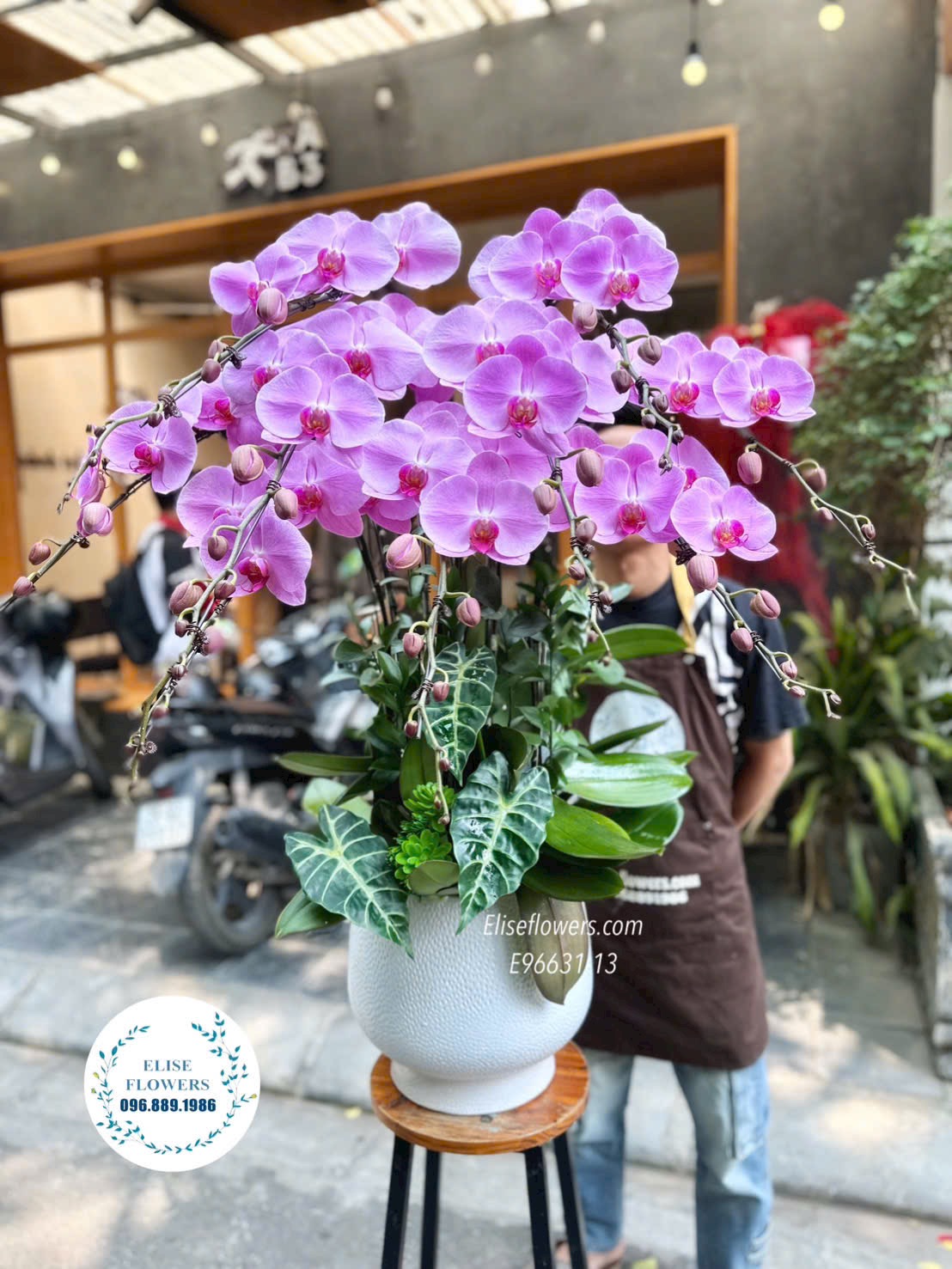 Chậu lan hồ điệp tím sang trọng. Lan hồ điệp sinh nhật ý nghĩa. Eliseflowers