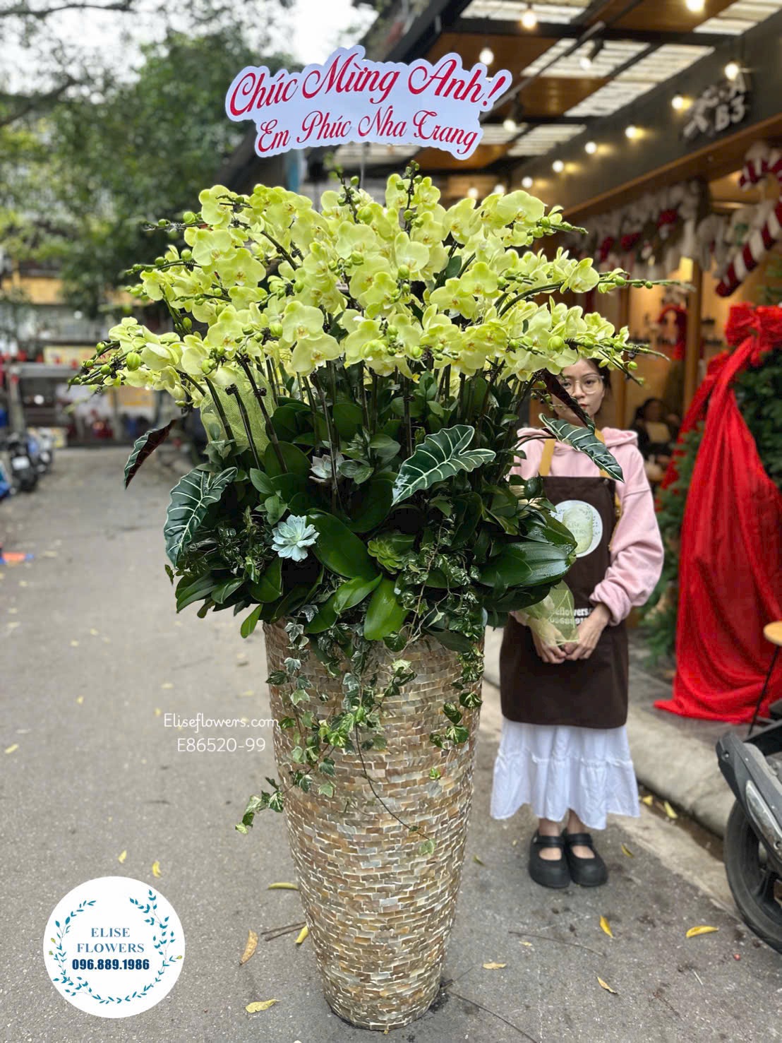 Đặt mua hoa mừng tân gia đẹp. Chậu lan hồ điệp khổng lồ mừng tân gia | Địa chỉ đặt hoa uy tín Eliseflowers