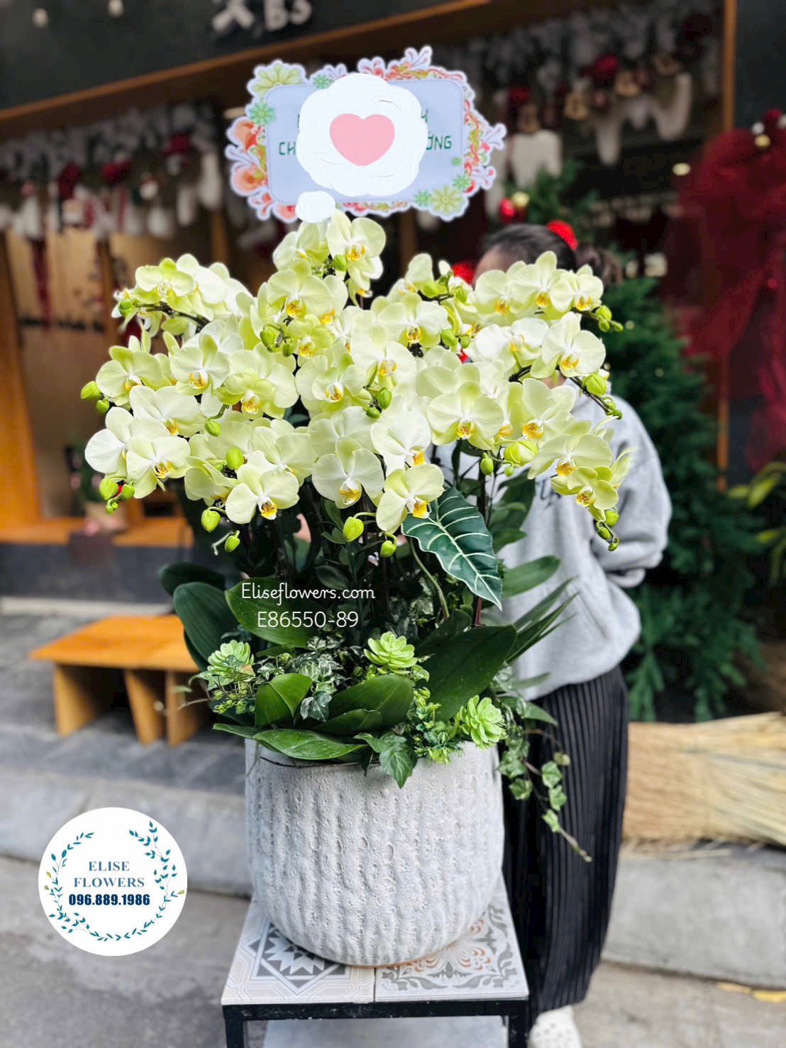Đặt mua lan hồ điệp khai trương. Hoa khai trương đẹp. Địa chỉ đặt hoa uy tín Hà Nội - Eliseflowers
