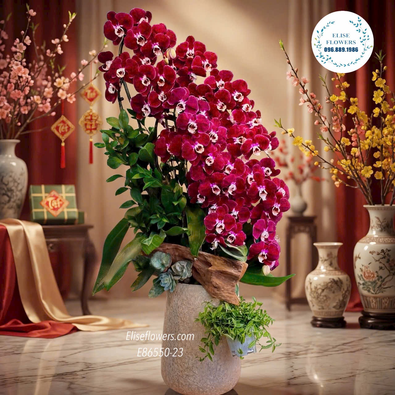 Chậu lan đỏ ngọc trai. Lan hồ điệp tặng đối tác, khách hàng ở Hà Nội. Điện hoa Hà Nội