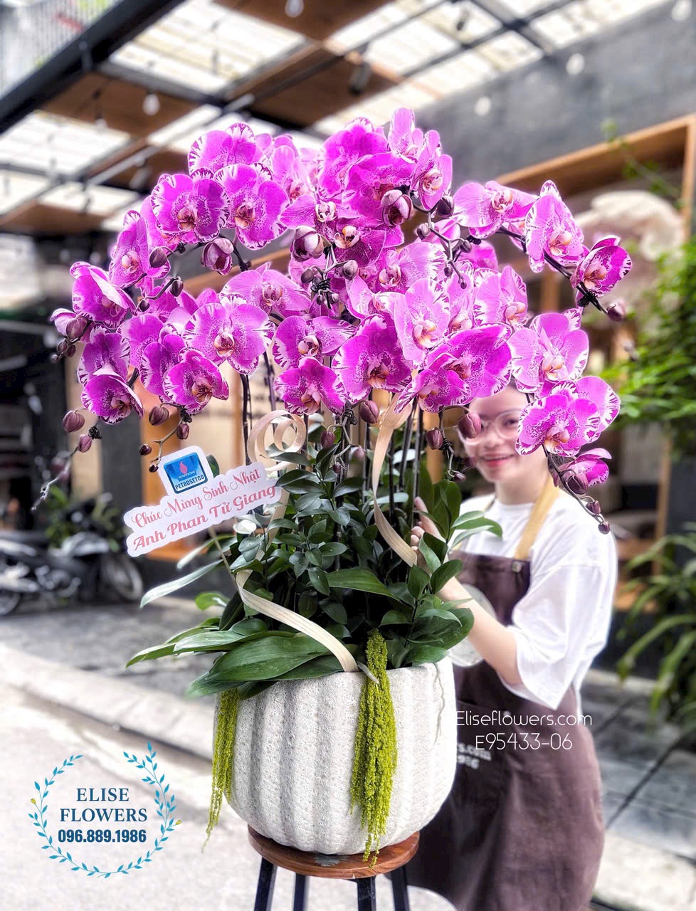 Đặt mua chậu lan hồ điệp tím tặng đối tác, sếp, doanh nghiệp ở Nam Từ Liêm.