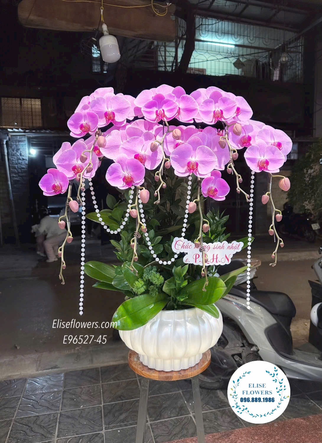 Hoa tặng tân gia. Lan hồ điệp mừng nhà mới. Mua chậu lan hồ điệp kiêu sa, tinh tế