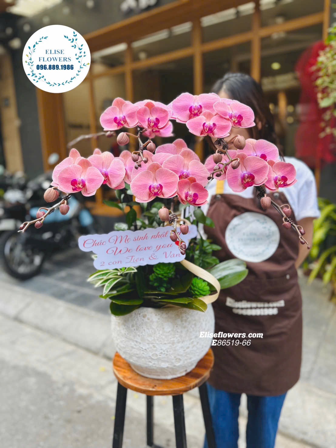 Đặt mua lan hồ điệp tại quận Hoàn Kiếm. Chậu lan hồ điệp cam cao cấp giá rẻ tại Hoàn Kiếm. Eliseflowers