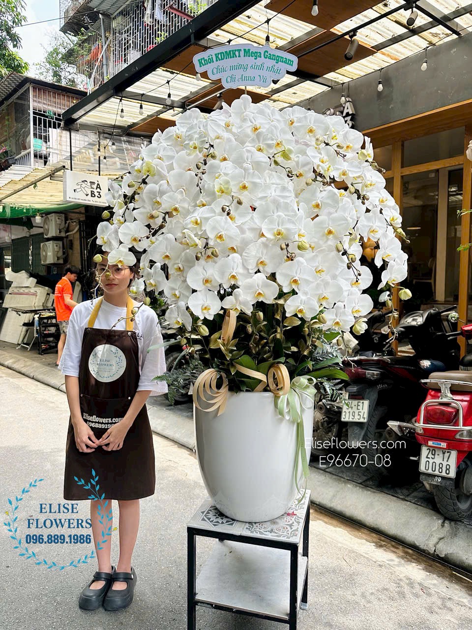 Đặt mua online chậu lan hồ điệp đẹp, to mừng sinh nhật công ty tại Hà Nội.