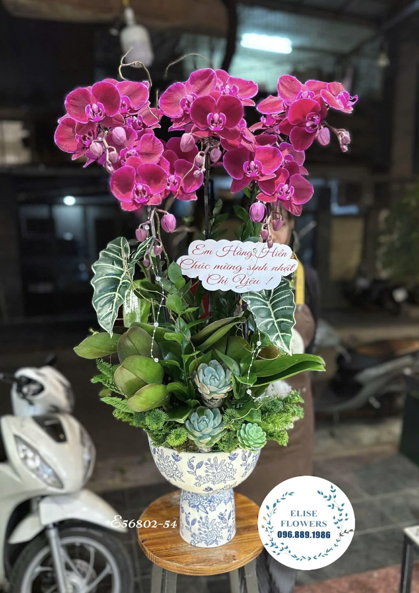 Lan hồ điệp Hà Nội. Chậu lan hồ điệp sinh nhật. Lan hồ điệp tím sang trọng. Địa chỉ mua hoa uy tín