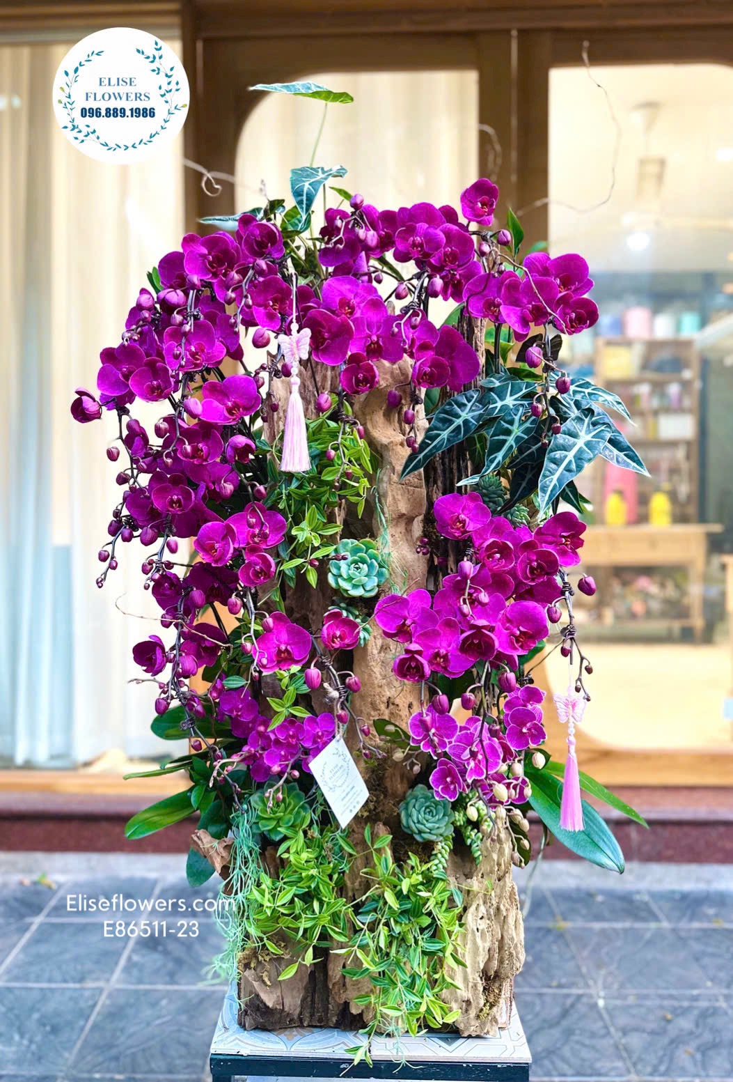 Lan hồ điệp ghép lũa sang trọng, đẳng cấp. Lan hồ điệp sinh nhật. Eliseflowers