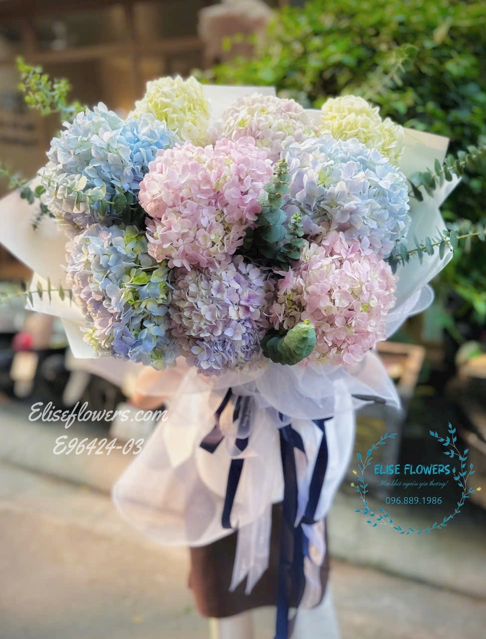 Bó cẩm tú cầu 10 bông tặng bạn gái đẹp. Điện hoa tươi Eliseflowers.