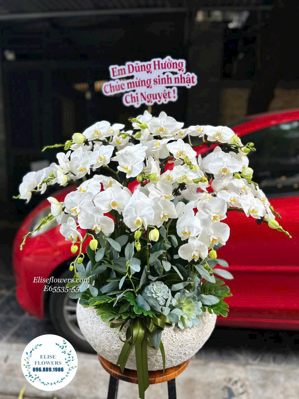 Đặt mua chậu hoa lan hồ điệp tặng khai trương. Mua hoa lan hồ điệp khai trương