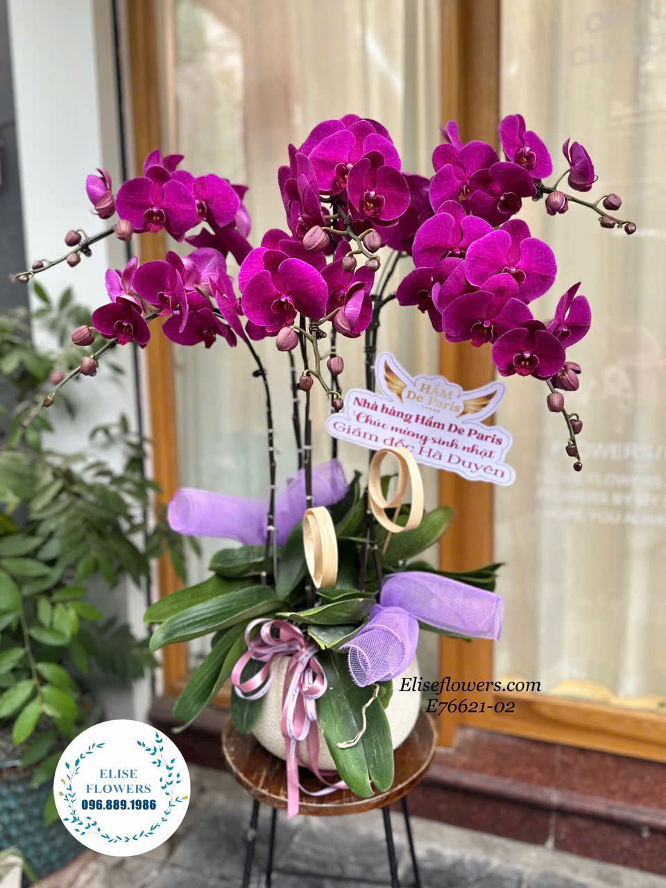 Điện hoa lan hồ điệp ONLINE . Giao hoa lan hồ điệp tận nơi nhanh chóng tại Hà Nội