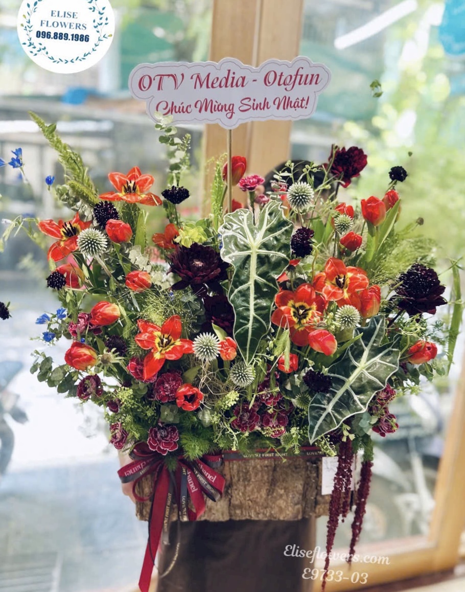 Shop hoa tulip đỏ Hà Nội | Lẵng hoa chúc mừng đẹp, quà tặng doanh nghiệp Hà Nội.
