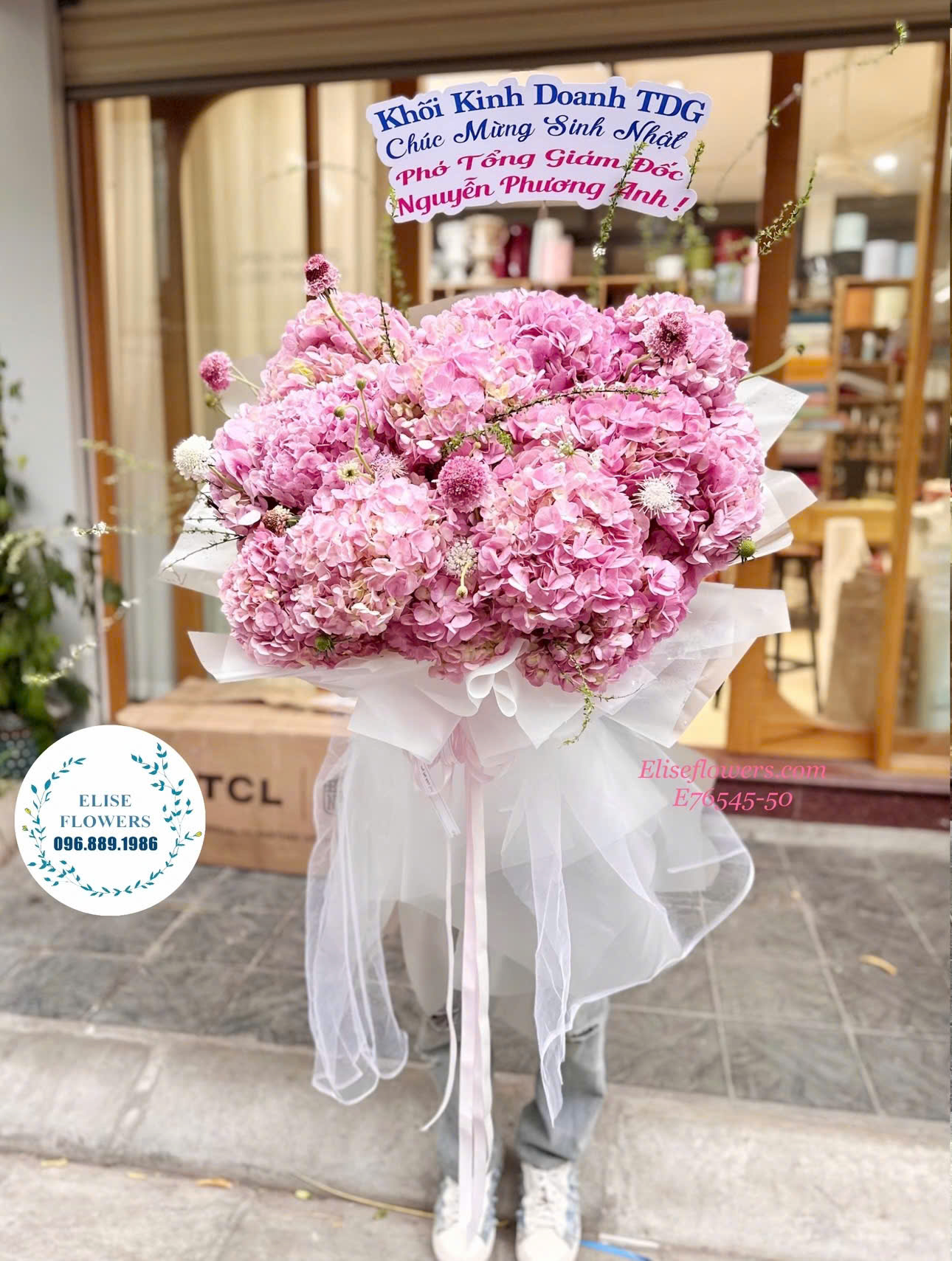 Hoa cẩm tú cầu Hà Nội. Mua hoa cẩm tú cầu hồng ở Hà Nội.