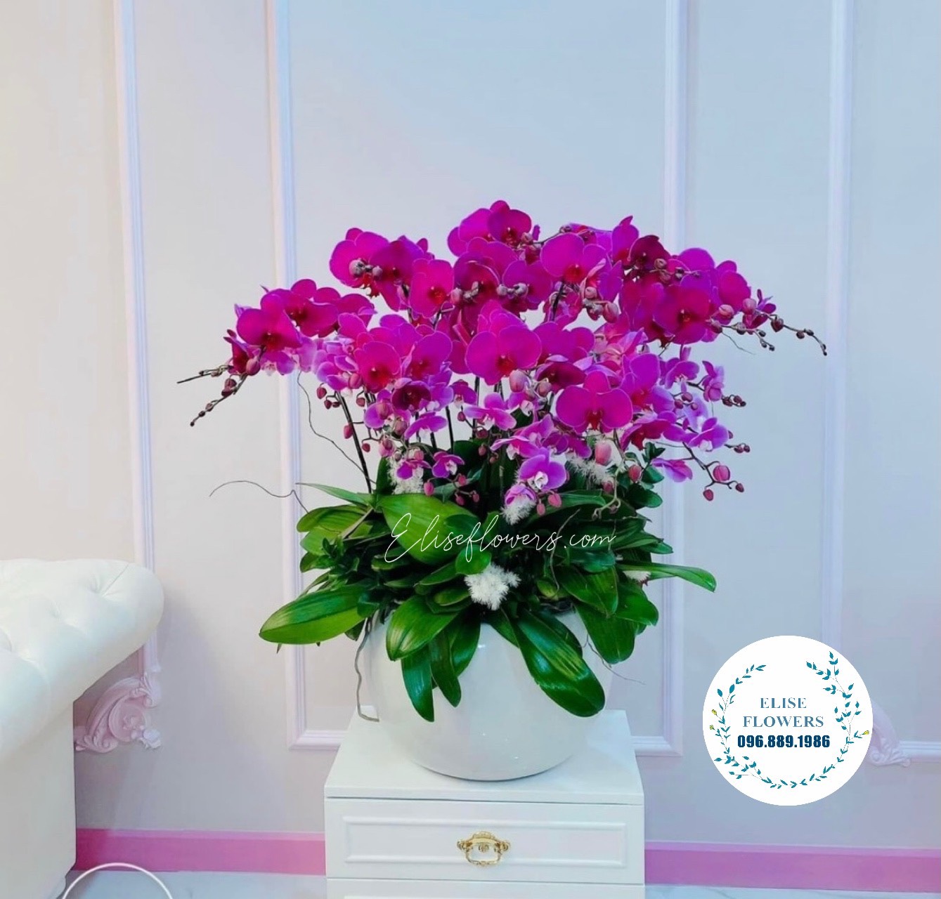 HOA LAN HỒ ĐIỆP TẠI QUẬN CẦU GIẤY HÀ NỘI |HOA LAN HỒ ĐIỆP SINH NHẬT | Elise flowers