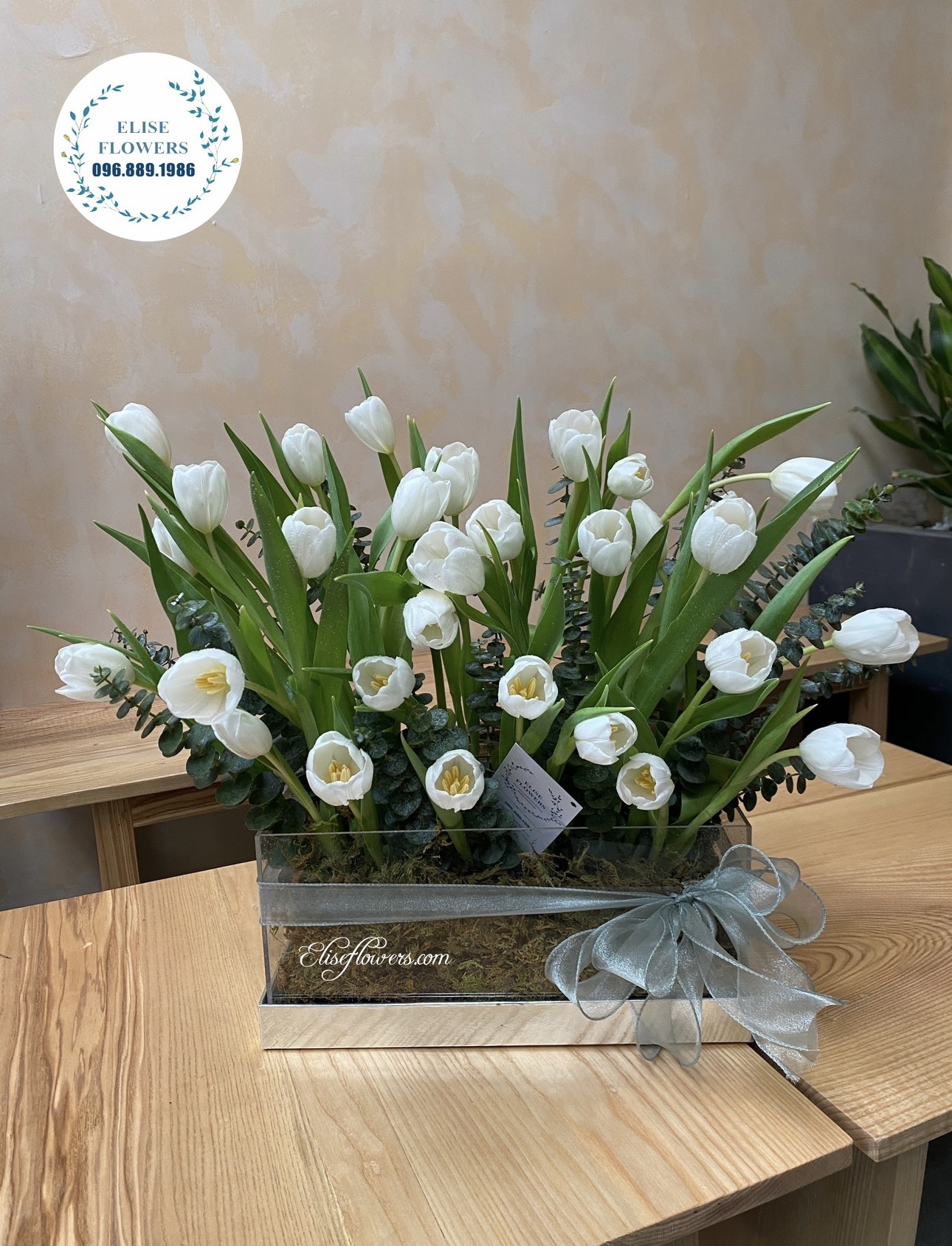Lẵng hoa tulip đẹp. Lẵng hoa tulip trắng đẹp, Hộp hoa mica tulip trắng đẹp ở Hà Nội.