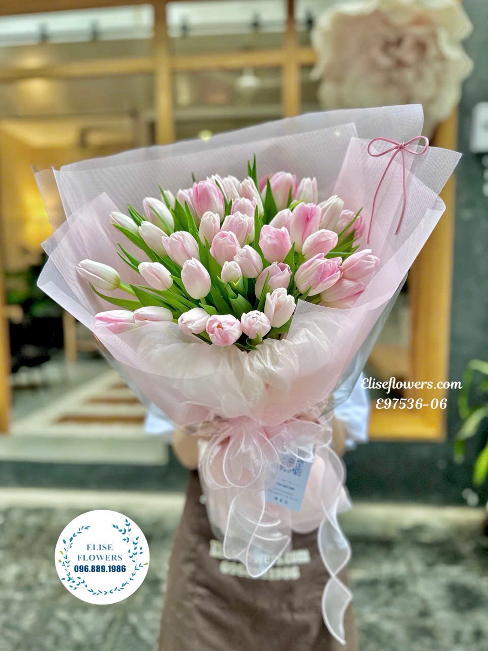 Hoa Tulip nhập khẩu Hà Lan. Mua hoa Tulip đẹp ở Hà Nội.