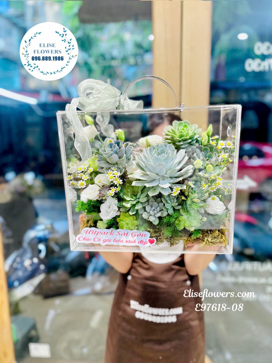 Hộp hoa sen đá đẹp. Hộp hoa sen đá phong thuỷ