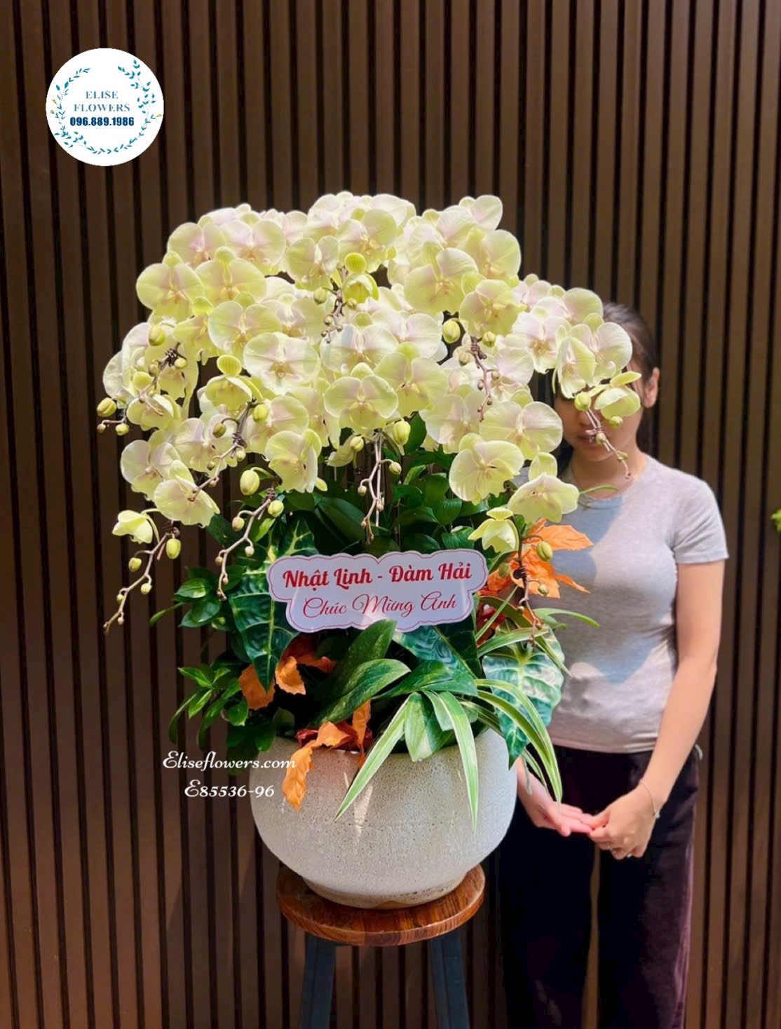 Chậu lan hồ điệp xanh táo cao cấp tại Eliseflowers