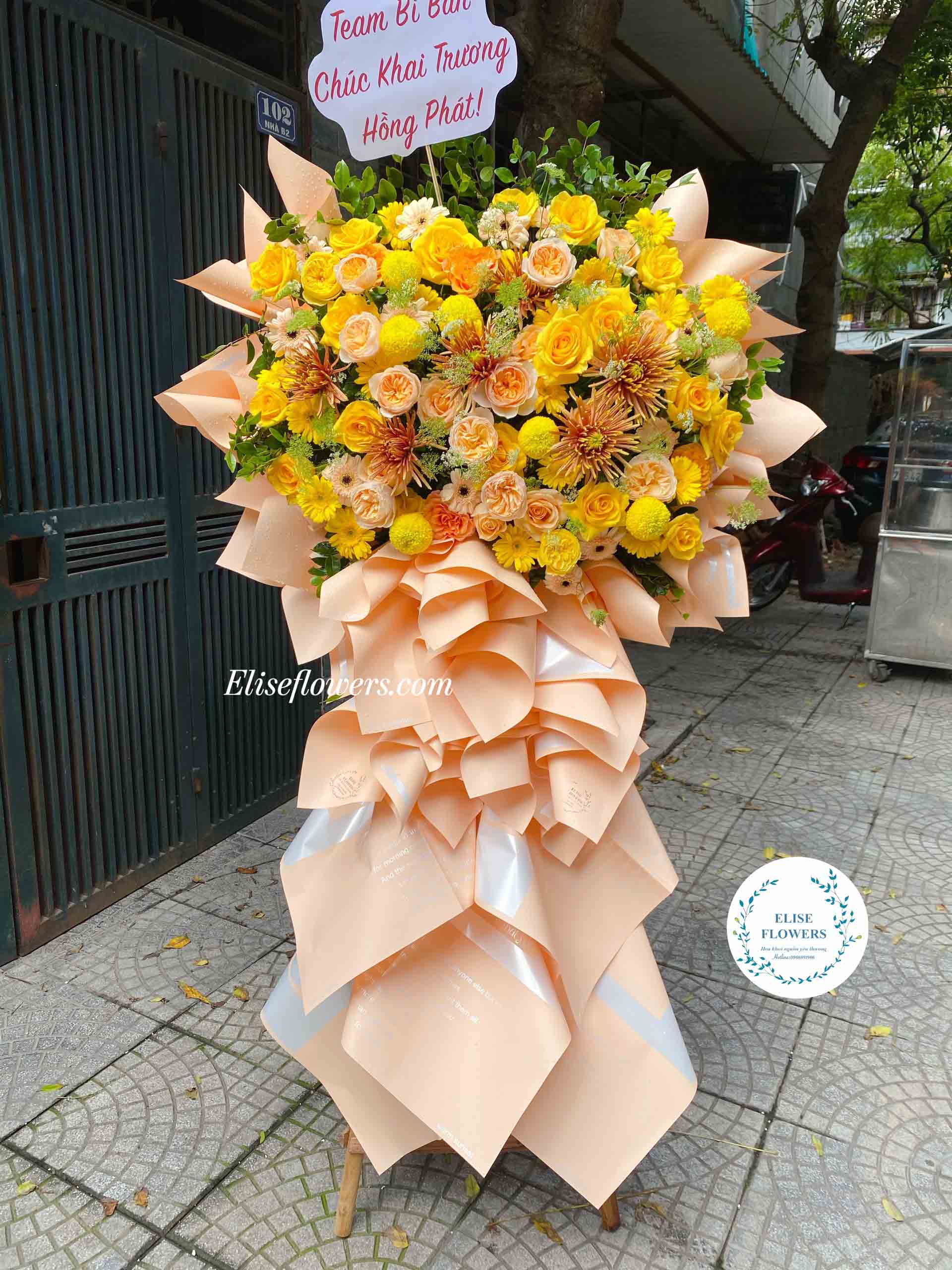 Cây hoa khai trương màu vàng cam