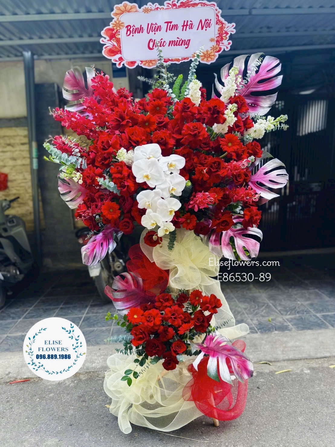 Hoa chúc mừng. Chậu hoa tone đỏ sang trọng mừng ngày 22/12