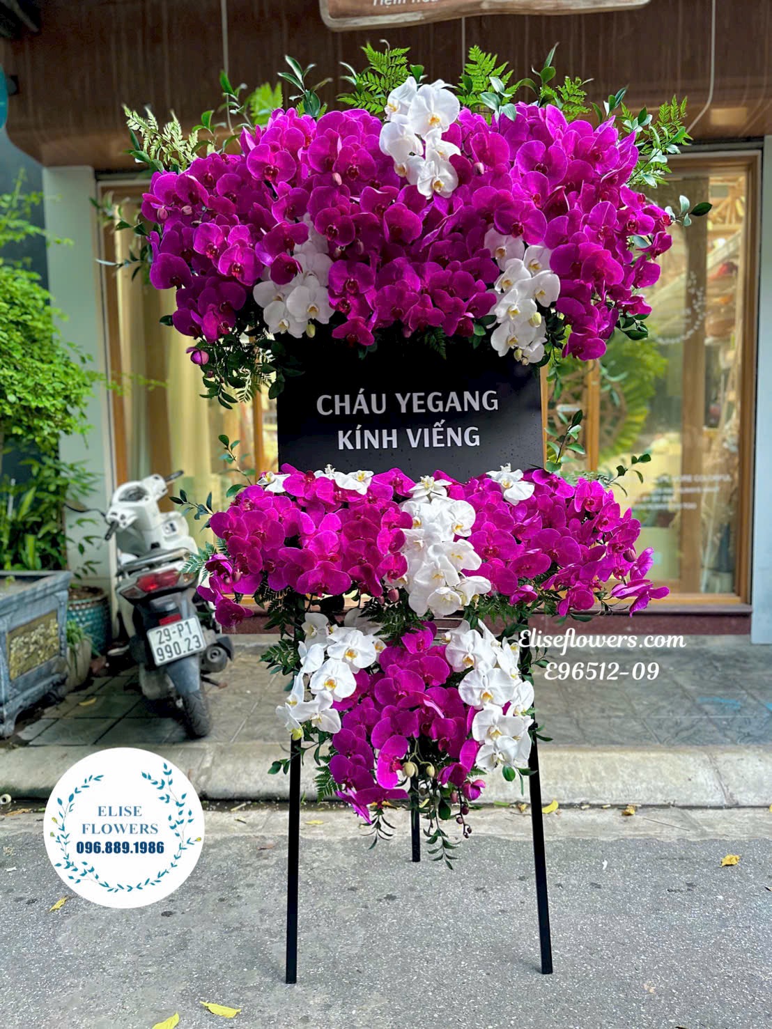 Lan Hồ Điệp Hà Nội. Kệ Hoa Tang Lan Hồ Điệp 2 Tầng Cao Cấp Ở Hà Nội