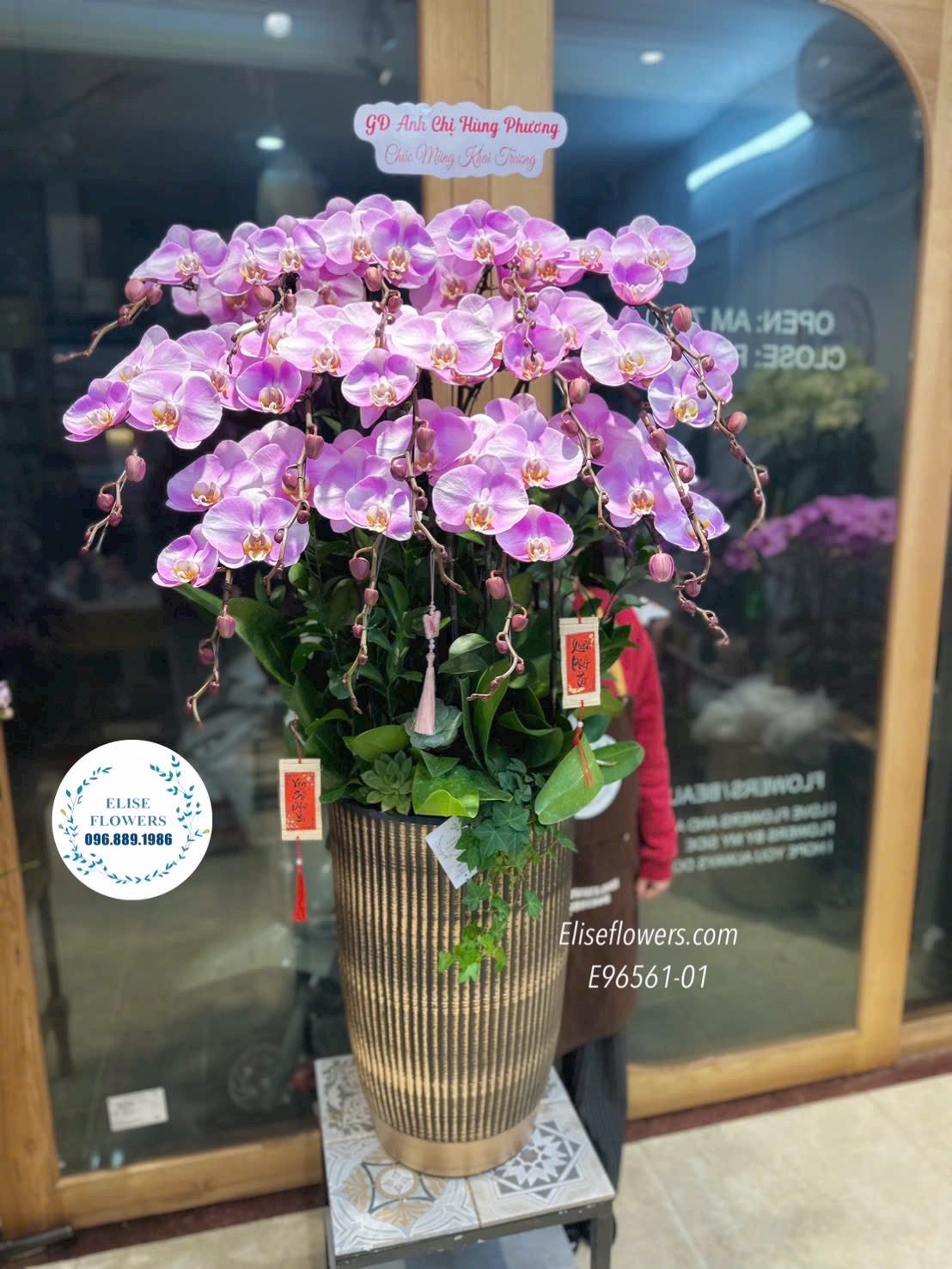 Lan hồ điệp Hà Nội. Chậu lan hồ điệp tím chơi Tết. Lan hồ điệp chưng nhà. Địa chỉ mua hoa uy tín