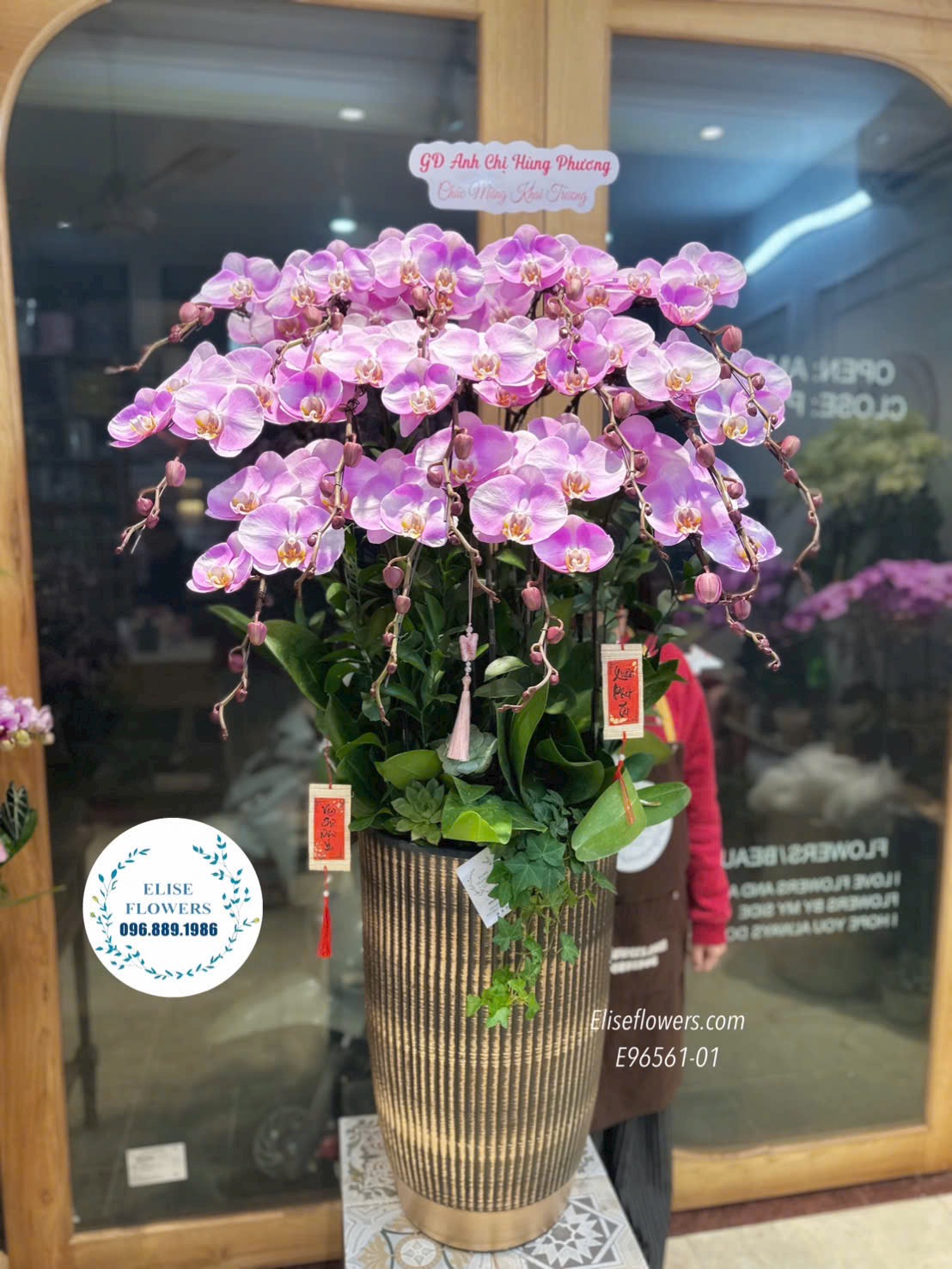 Lan hồ điệp Hà Nội. Chậu lan hồ điệp tím chơi Tết. Lan hồ điệp chưng nhà. Điện hoa Hà Nội