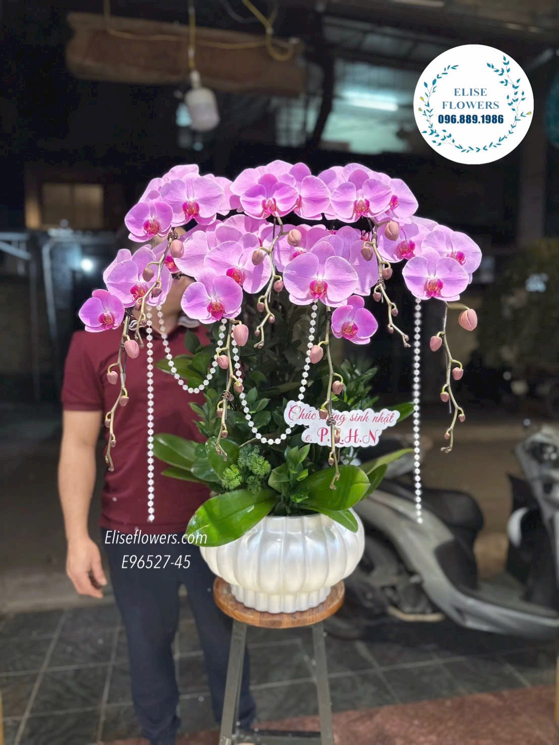 Hoa tặng tân gia. Lan hồ điệp mừng nhà mới. Chậu lan hồ điệp hồng tím cao cấp, sang trọng