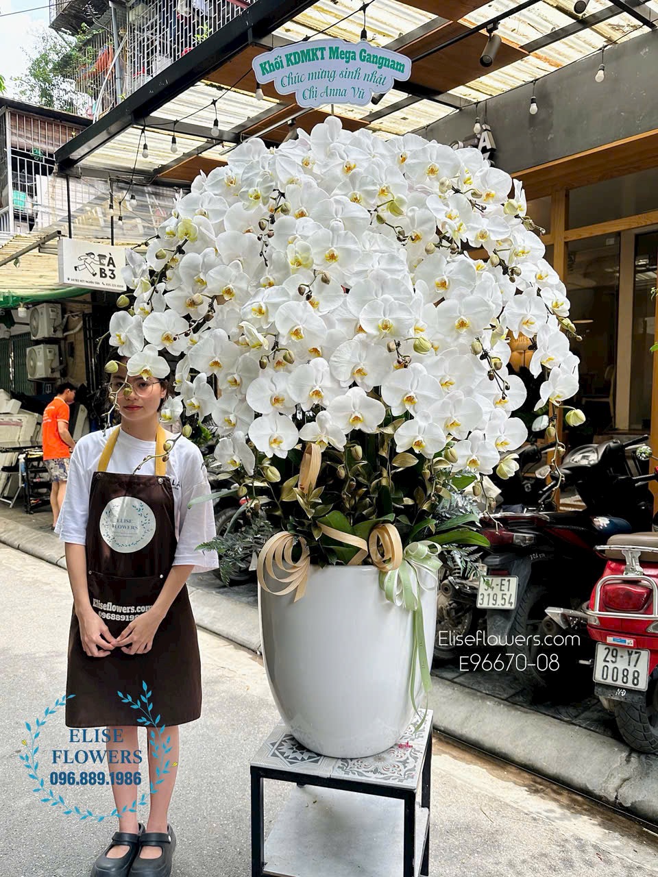 Chậu lan hồ điệp đại chúc mừng sinh nhật công ty tại Hà Nội. Điện hoa Hà Nội - Eliseflowers