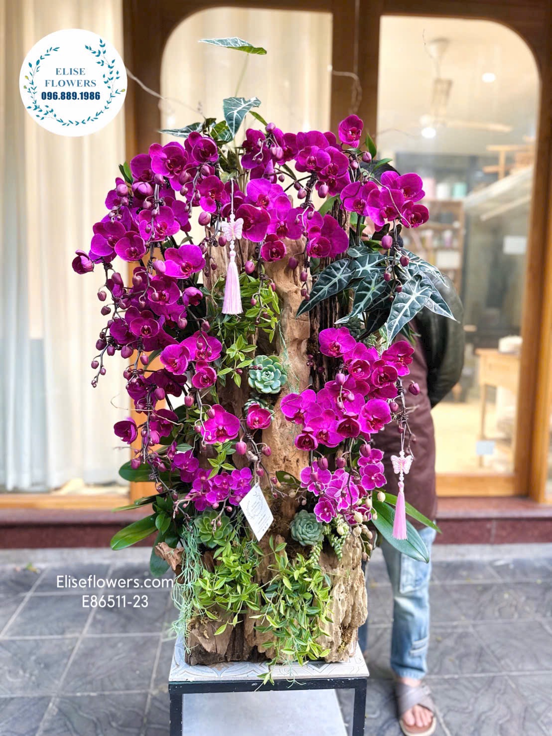 Lan hồ điệp ghép lũa sang trọng, đẳng cấp. Lan hồ điệp sinh nhật. Địa chỉ mua lan hồ điệp uy tín Hà Nội