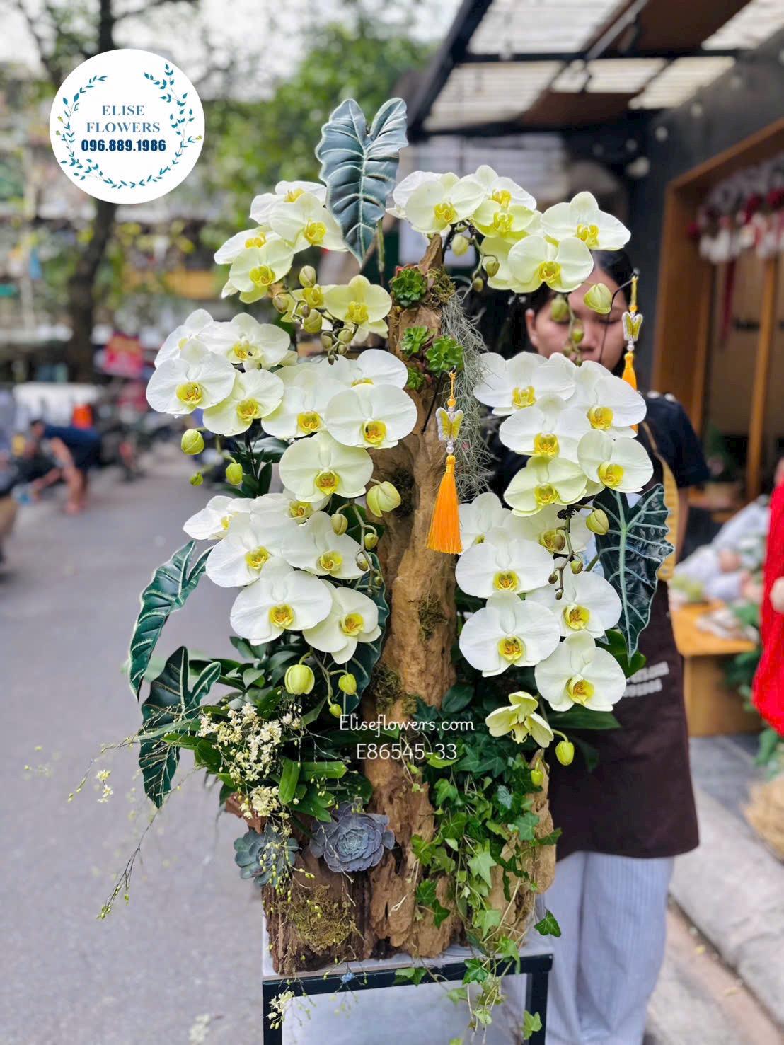 Lan hồ điệp Hà Nội. Lan hồ điệp ghép lũa xanh táo nghệ thuật cao cấp tặng đối tác. Eliseflowers