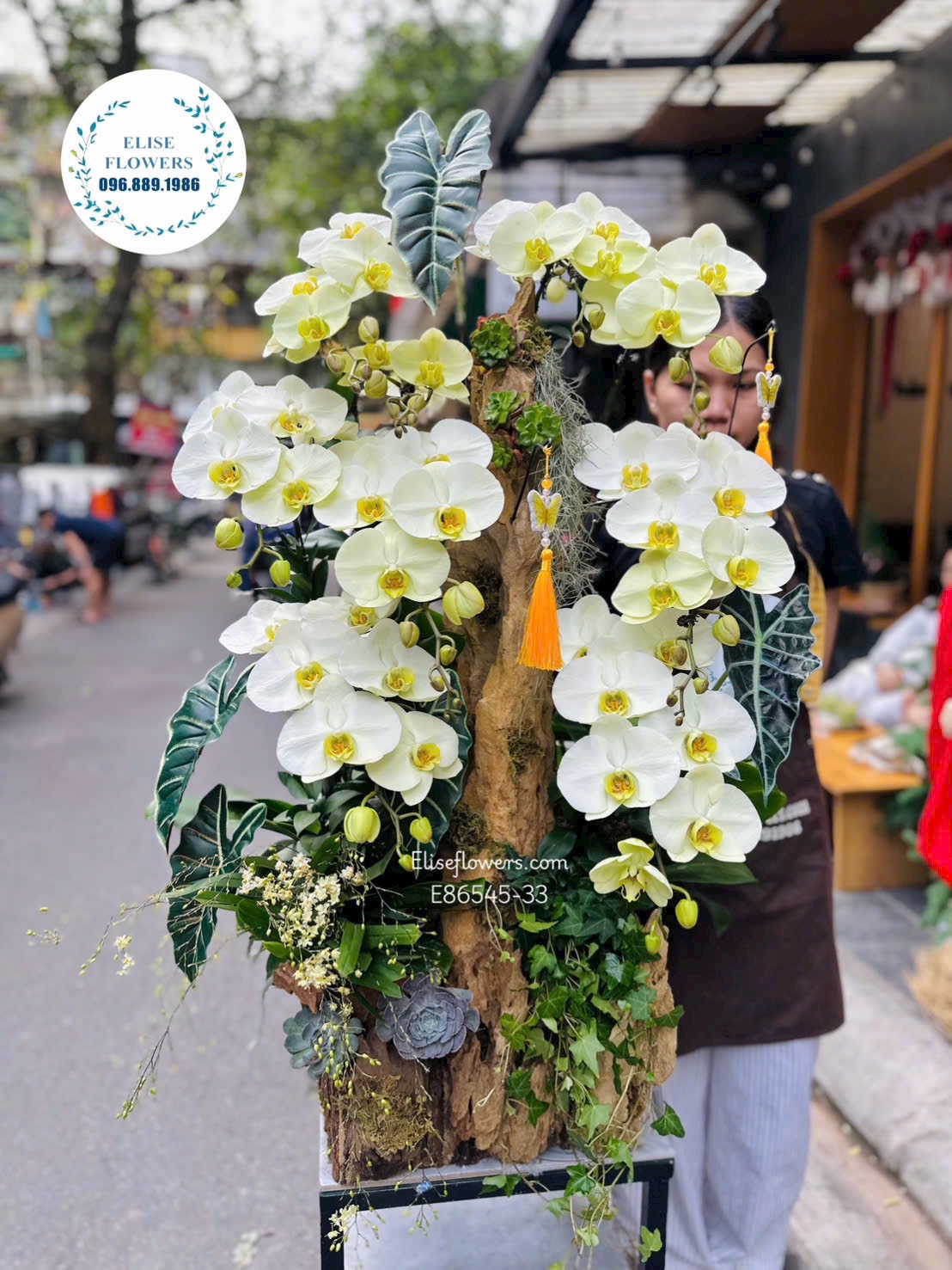 Lan hồ điệp Hà Nội. Lan hồ điệp ghép lũa xanh táo nghệ thuật cao cấp tặng đối tác. 