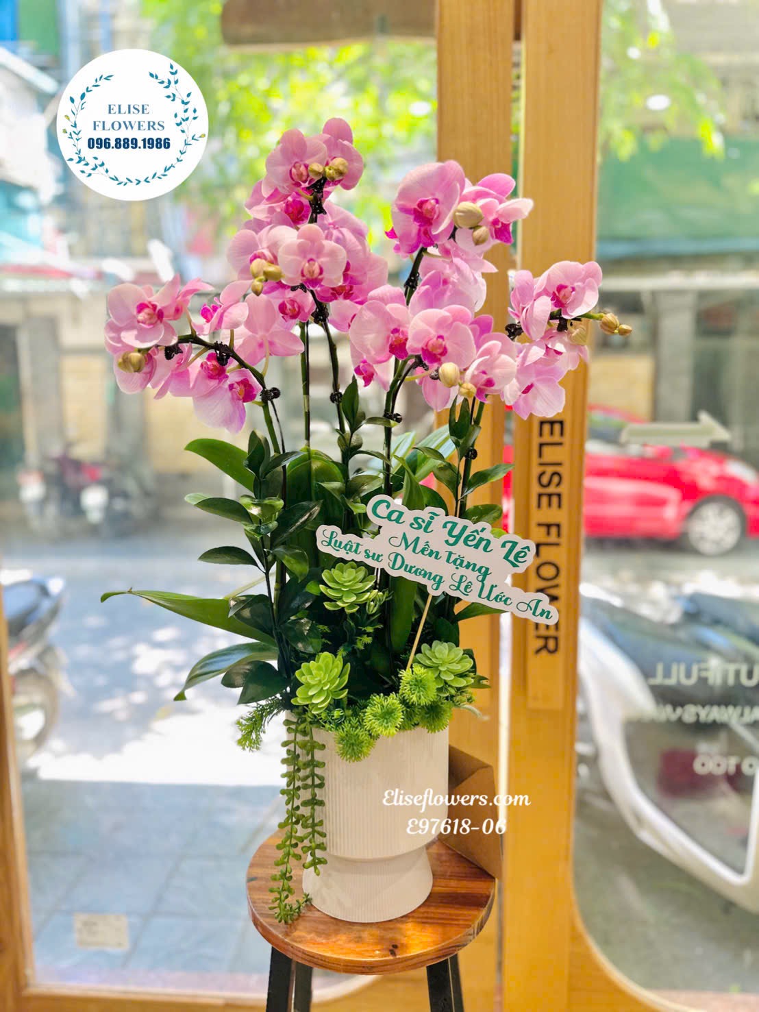 Lan hồ điệp Hà Nội. Chậu lan hồ điệp nhập khẩu cao cấp mừng tân gia,...