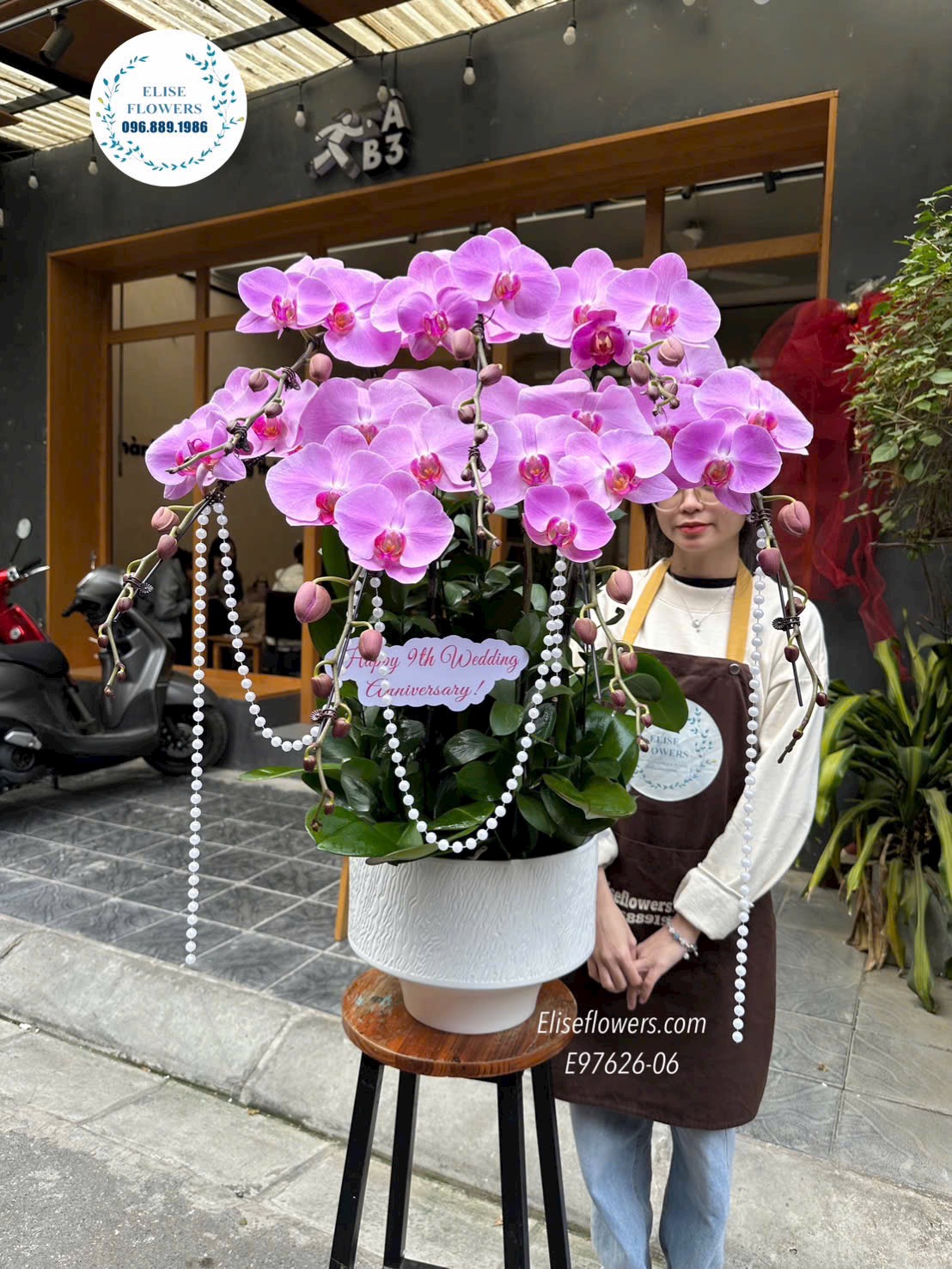 Lan hồ điệp tặng sếp. Lan hồ điệp sinh nhật. Địa chỉ mua hoa uy tín Hà Nội Eliseflowers