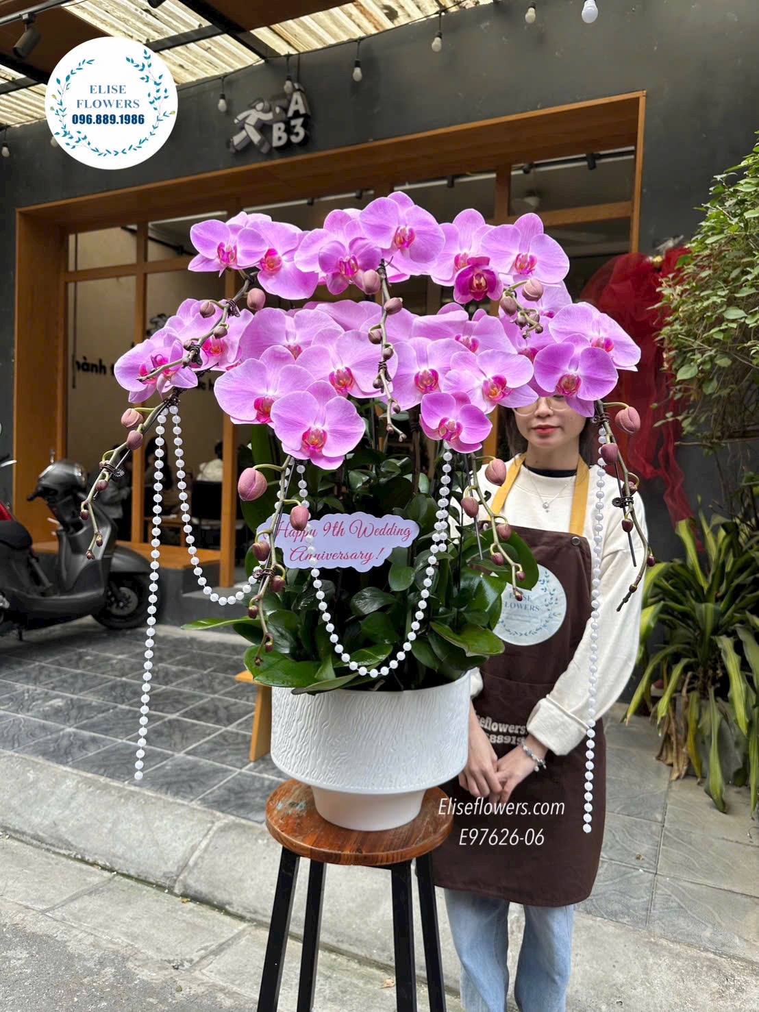 Lan hồ điệp tặng sếp. Lan hồ điệp sinh nhật. Chậu lan hồ điệp tím hồng cao cấp