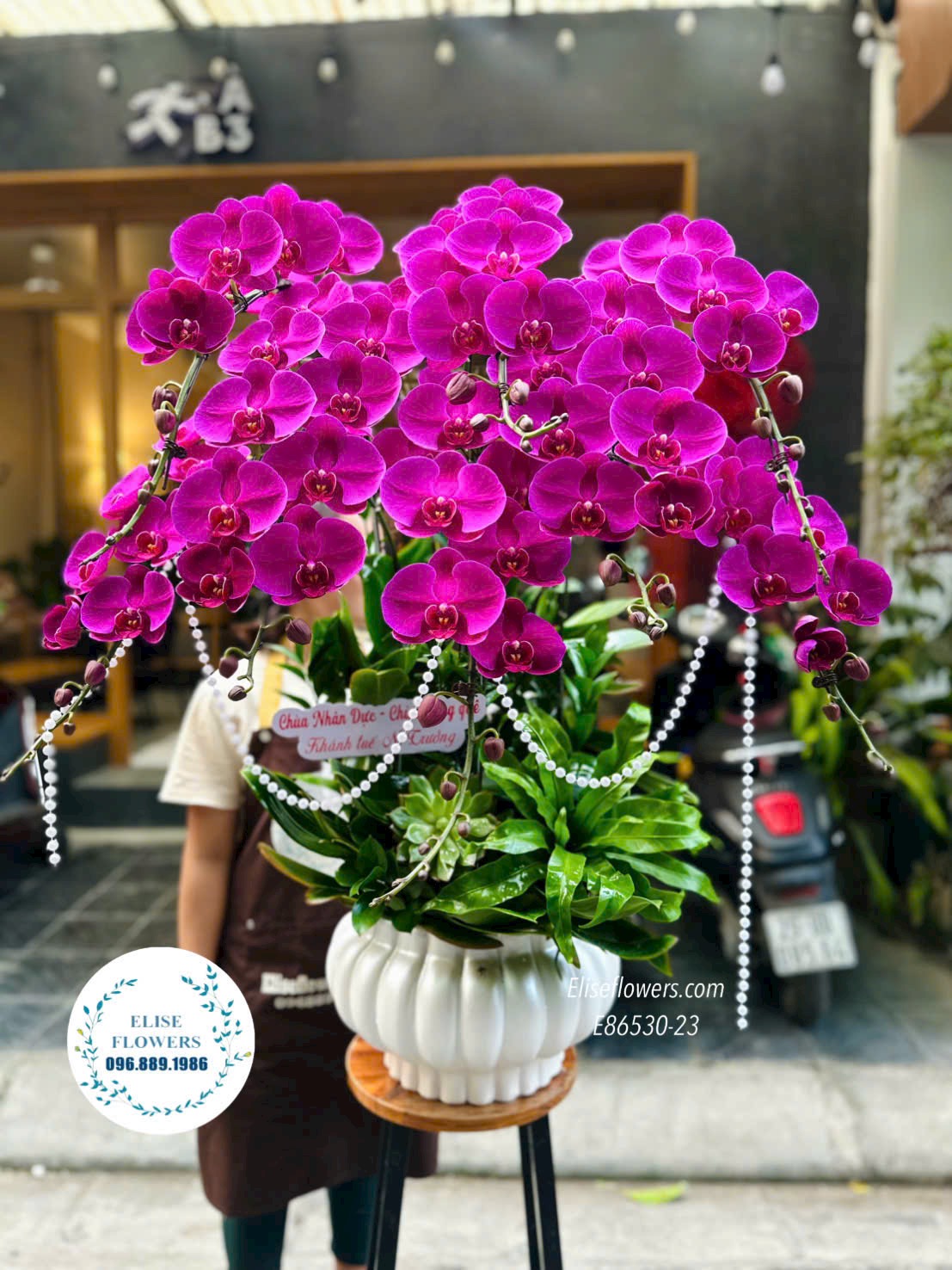 Lan hồ điệp Hà Nội. Chậu lan hồ điệp màu tím tặng khai trương cửa hàng, công ty. Dịch vụ giao hoa tận nơi, nhanh chóng