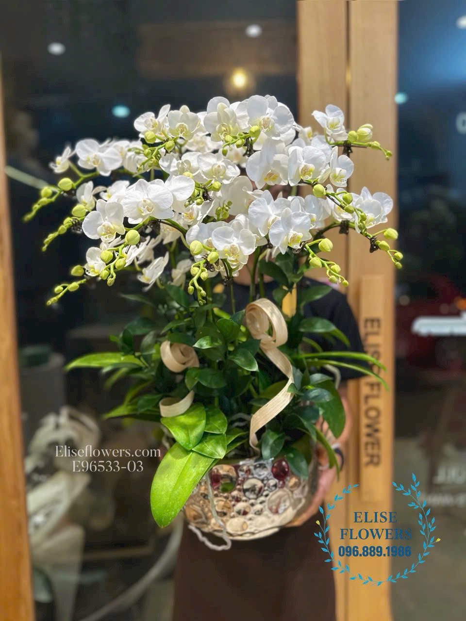 Chậu lan hồ điệp mini trắng nhập khẩu mừng tân gia. Điện hoa Hà Nội - Eliseflowers