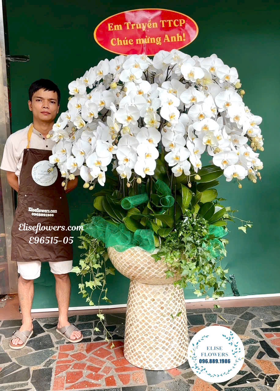Lan hồ điệp Hà Nội. Chậu lan hồ điệp trắng cắm tròn cao cấp tại Hà Nội 