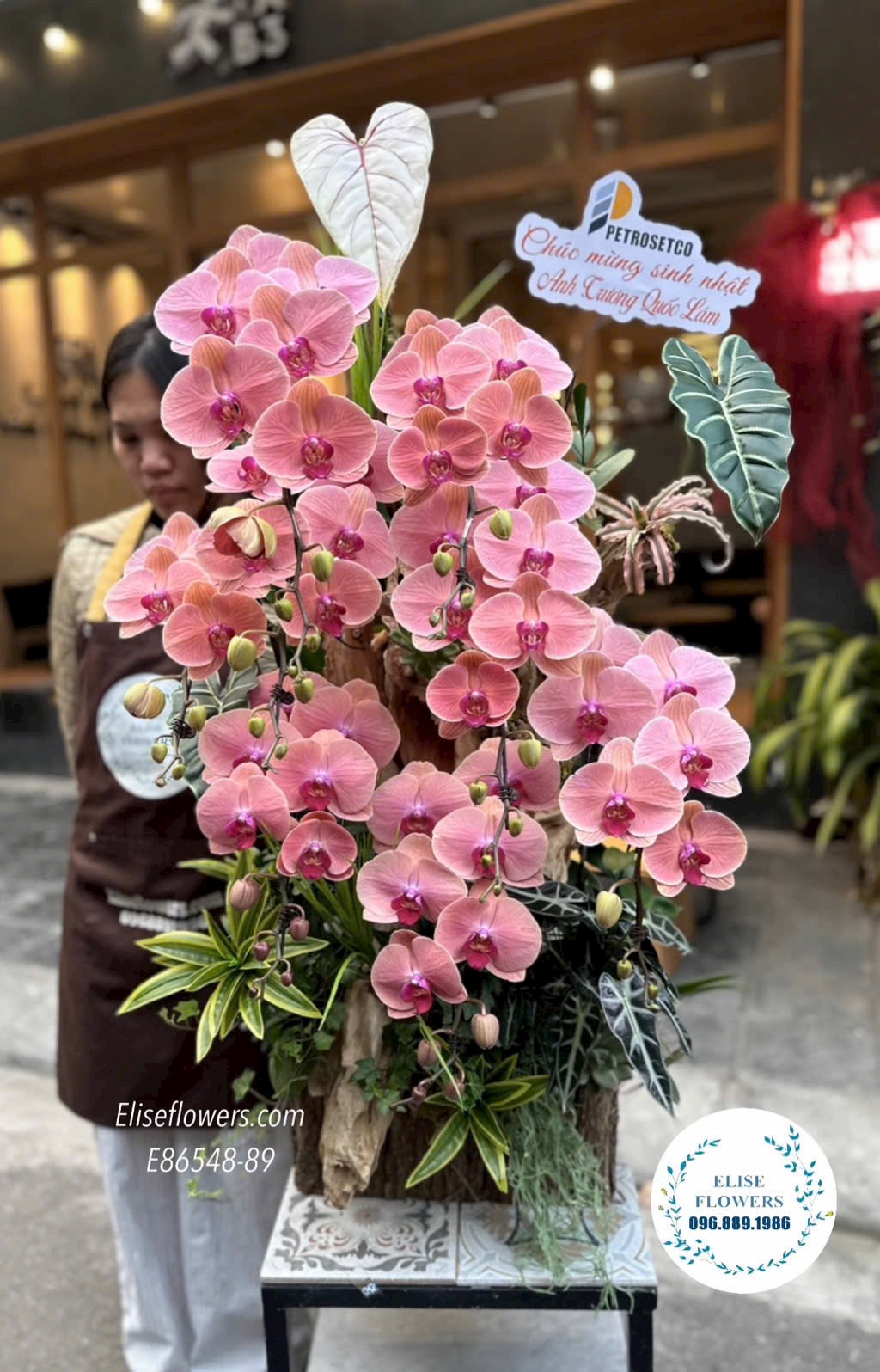 Lan hồ điệp khai trương Hà Nội. Chậu lan cam đào sang chảnh, cao cấp