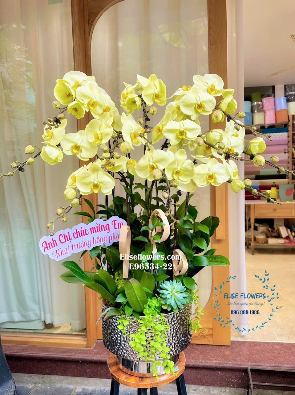 đặt mua chậu lan hồ điệp tặng sếp ở Hai Bà Trưng