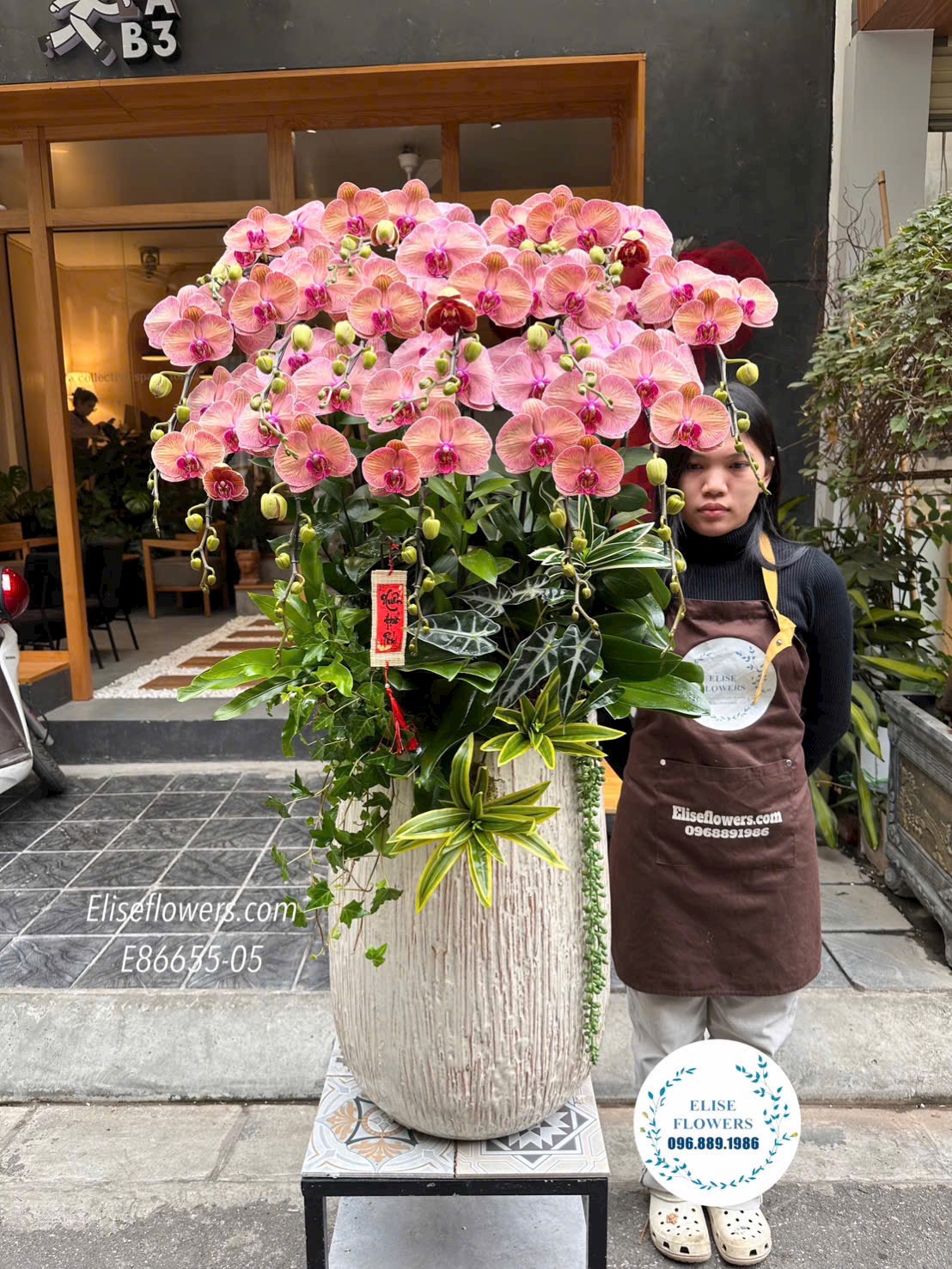 Chậu lan hồ điệp cam đào sang trọng. Lan hồ điệp chơi tết bền, đẹp. Điện hoa Hà Nội Elisefloewrs