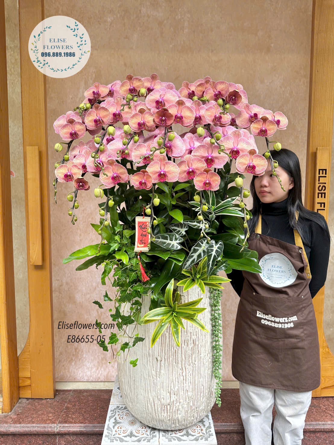 Chậu lan hồ điệp cam đào sang trọng. Lan hồ điệp chơi tết sang trọng, phong thuỷ. Điện hoa Hà Nội Elisefloewrs