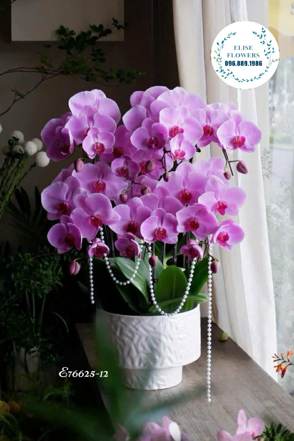 Chậu lan hồ điệp tím. Lan hồ điệp biếu sếp sang trọng. Điện hoa lan hồ điệp Hà Nội 