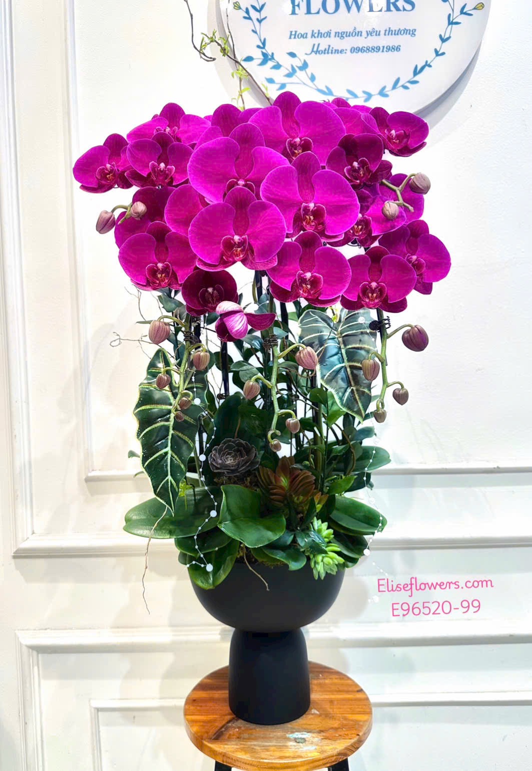 Lan hồ điệp Hà Nội. Chậu lan hò điệp tím tậng sếp cao cấp, sang trọng. Địa chỉ đặt mua hoa uy tín